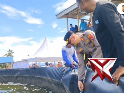 KAPOLRESTA TIDORE HADIRI PANEN UDANG VANAME DI KEL DOWORA KOTA TIDORE