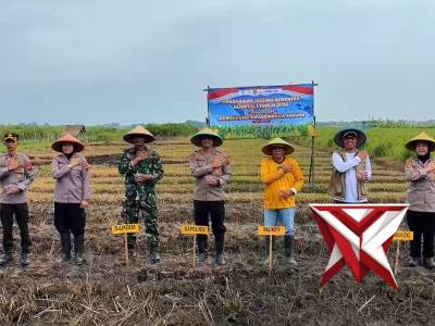 Penanaman Jagung Serentak Kuartal I