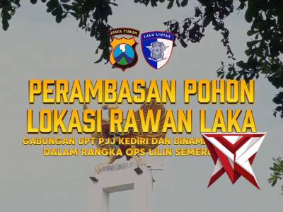 PERAMBASAN POHON DAERAH RAWAN LAKA LANTAS