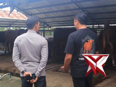 Kapolres Ngawi melaksanakan pengecekan hewan ternak