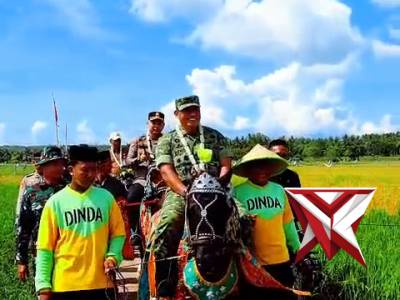 Panen Raya Padi dalam rangka mendukung swasembada pangan di Kec. Dungkek