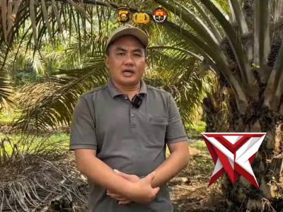 RENOVASI JEMBATAN SUNGAI USE - PoliceTube