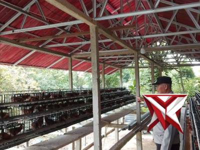 Ketahanan pangan polsek Pampangan OKI