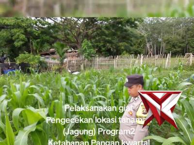 Giat ketahanan pangan Polsek Pampangan OKI - PoliceTube