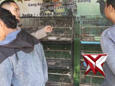 Bhabinkamtibmas Polres Batang Sambang Toko Burung - PoliceTube