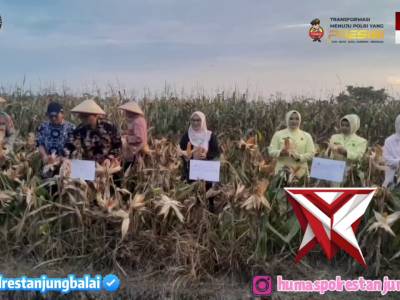 PANEN JAGUNG KWARTAL IV POLRES TANJUNG BALAI