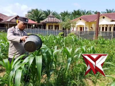 Polsek pamangan - PoliceTube