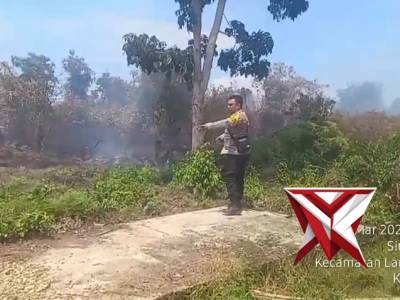 Kebakaran lahan di simpang Wie kecamatan langsa timur kota langsa
