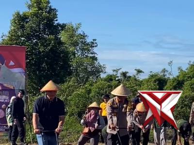 Penanaman Jagung Kuartal IV, Kapolda Bengkulu Tegaskan Komitmen Ketahanan Pangan