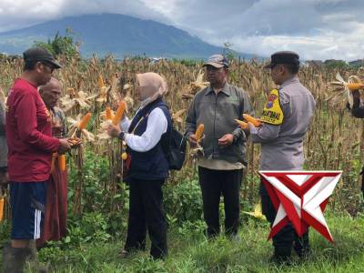 Dukung Ketahanan Pangan, Polisi Turun Langsung Dampingi Petani ?????