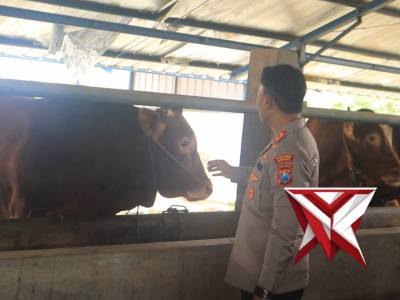 KAPOLRES NGAWI PENGECEKAN HEWAN TERNAK ANTISIPASI PMK