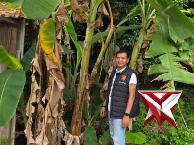 Pers Polsek Jejawi cek ketahanan Pangan perkarangan rumah warga - PoliceTube