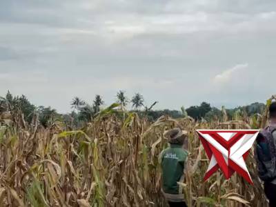 Polsek Purwodadi Polres Musi Rawas