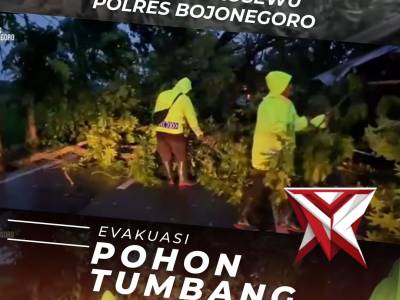 Polsek Sukosewu Evakuasi Pohon Tumbang Akibat Hujan Lebat dan Angin Kencang