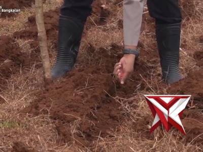 ZOOM MEETING PENANAMAN JAGUNG SERENTAK KUARTAL I TAHUN 2026