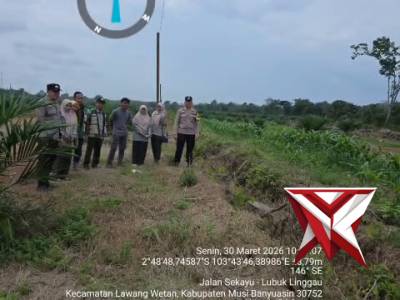 Pengecekan Lahan Jagung Polsek Babat Toman