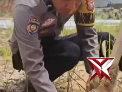 Polsek Rumbai Pesisir Gelar Penanaman Pohon Serentak di Perumahan Rumbai Residence dalam Program - PoliceTube