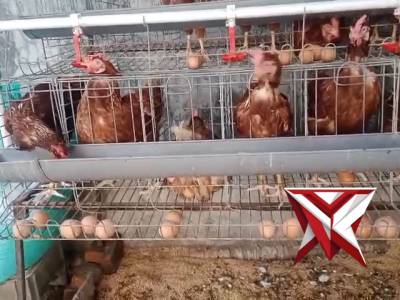 Ketahanan pangan - PoliceTube