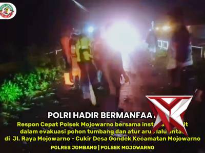 Respon cepat Polsek Mojowarno dalam evakuasi pohon tumbang dan atur arus lalu lintas