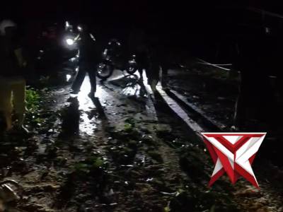 Gerak Cepat Polsek Barat Bersama Dinas Terkait  dan Warga Evakuasi Pohon Tumbang, Akses Jalan Kembal