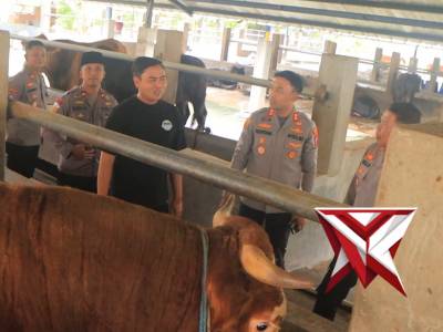 pengecekan hewan ternak memastikan kondisi kesehatan hewan serta mengantisipasi penyebaran penyakit