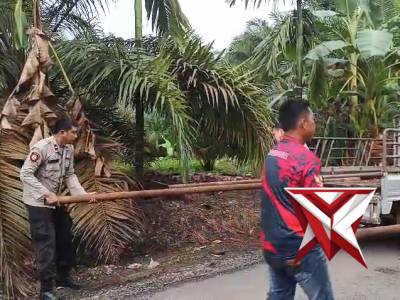 Polsek muara Kelingi