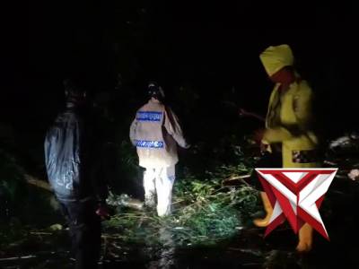 Unit patroli polsek trawas bersama relawan mendatangi tkp pohon tumbang di jalan raya jolotundo