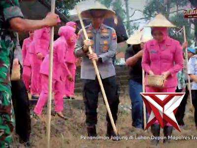 Dukung Ketahanan Pangan, Polres Trenggalek Mulai Tanam Jagung Kwartal 1 Tahun 2026