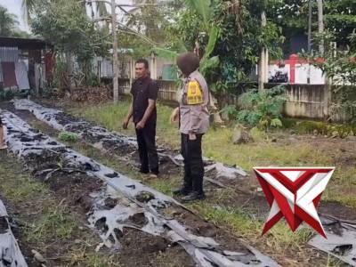 *Perkarangan Ber-Gizi Polsek Kampung Melayu-Terong Hibrida*