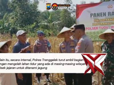 Menuju Swasembada Pangan, Kapolres Trenggalek Hadiri Panen Raya Jagung

Kepala Kepolisian Resor Tren