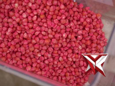 Polres OKI bersama jajaran Forkopimda OKI melaksanakan kegiatan penanaman jagung serentak Kuartal 1