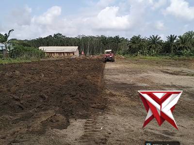 Pengolahan lahan untuk tanaman jagung