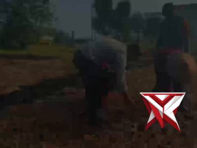 [ POLSEK JATIREJO ] PENANAMAN JAGUNG KUARTAL III DI LAHAN BAKU SAWAH (LBS)