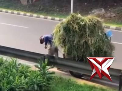 Hal sederhana Kok ini