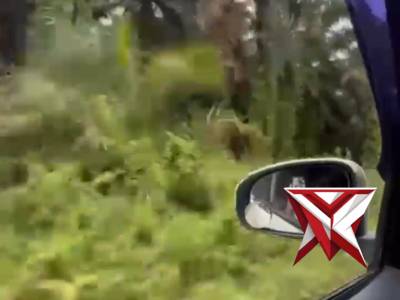 Pemudik Asal Jambi Tersesat di Muba, Polisi Gerak Cepat Berikan Bantuan Arah