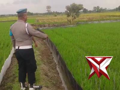 KETAHANAN PANGAN POLSEK BALONGPANGGANG