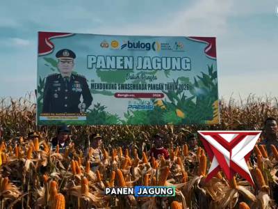 Kapolresta Bengkulu Pimpin Panen Raya Jagung, Kuartal I 2026, Polresta Bengkulu Hasilkan 5 Ton