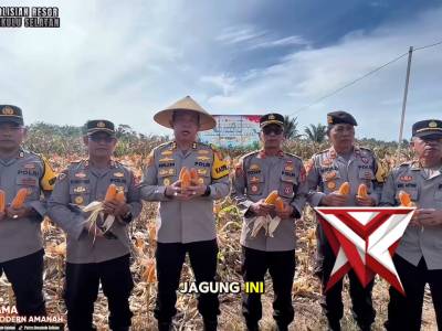 Panen Raya Jagung Serentak Kuartal 1 Tahun 2026
