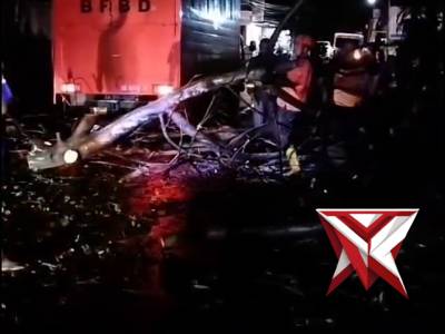 Polsek Singaraja dan BPBD Bergerak Cepat Evakuasi Pohon Tumbang di Jalan P. Komodo