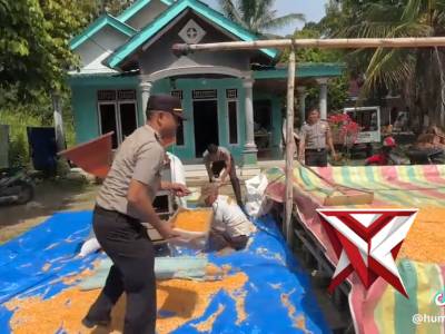 SAT BINMAS POLRES MURATARA MELAKUKAN PEMIPILAN JAGUNG HASIL PANEN - PoliceTube