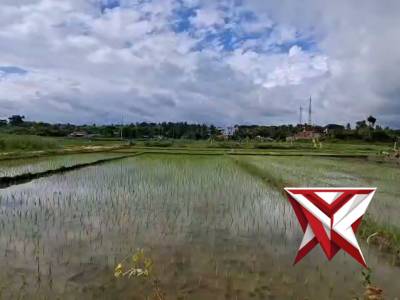 POLRES KUPANG BERINOVASI MEMBANGUN TAMAN ECO WISATA UBTUK LINGKUNGAN ASRI