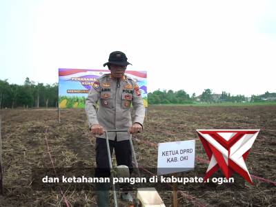 Polres OKI bersama jajaran Forkopimda OKI melaksanakan kegiatan penanaman jagung serentak Kuartal 1