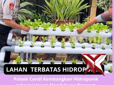 LAHAN TERBATAS HIDROPONIK