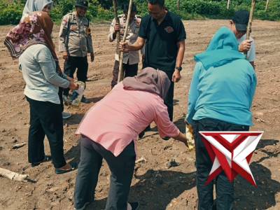 Kegiatan Penanaman Jagung Polsek Tanjung Batu