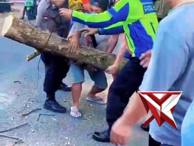 Gerak Cepat Polisi dan Warga, Pohon Jati Tumbang di Sumberlawang Berhasil Dievakuasi, Arus Mudik Kem