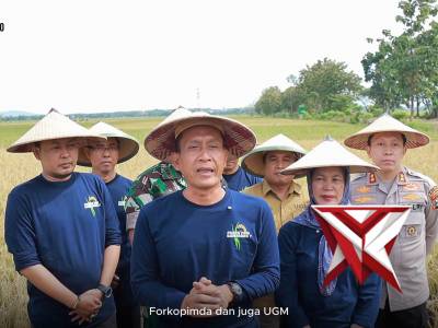 Panen Padi Varietas Gamagora 7 Ciptakan Swasembada Pangan Berkelanjutan - PoliceTube