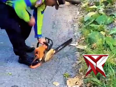 Gerak Cepat Polisi dan Warga, Pohon Jati Tumbang di Sumberlawang Berhasil Dievakuasi, Arus Mudik Kem