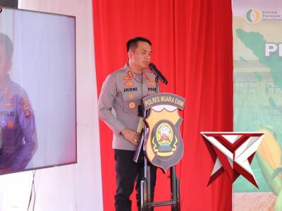 Penanaman Jagung Serentak Kuartal IV, Dukung Swasembada Pangan Nasional 2025