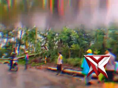 POLSEK LEBONG SELATAN SIGAP AMANKAN JALAN AKIBAT POHON TUMBANG