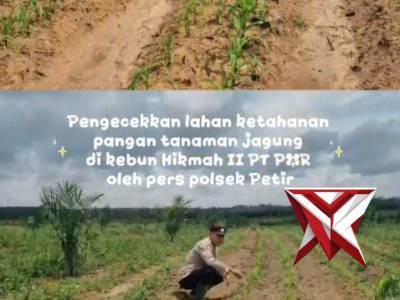 Giat ketahanan pangan Polsek Pedamaran timur.